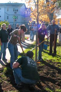 Citizen-Forester-Planting