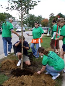 Fall 2008 solo tree planting