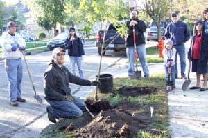 Jesse plants the first of 30 trees