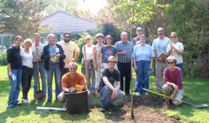 backyard planting